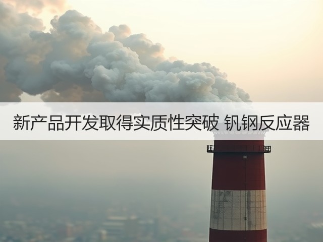 新产品开发取得实质性突破 钒钢反应器 新产品开发取得实质性突破 钒钢反应器