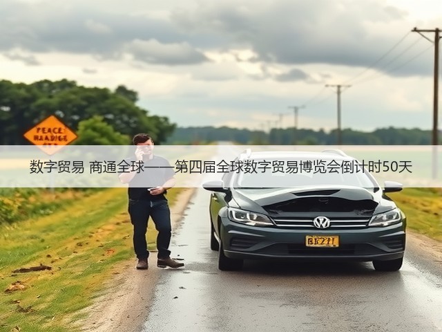 数字贸易 商通全球——第四届全球数字贸易博览会倒计时50天 数字贸易 商通全球——第四届全球数字贸易博览会倒计时50天