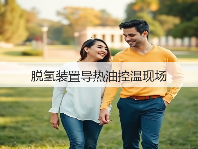 脱氢装置导热油控温现场 脱氢装置导热油控温现场