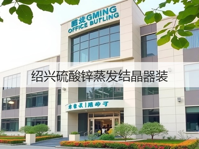 绍兴硫酸锌蒸发结晶器装