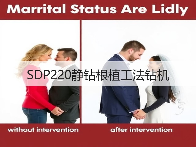 SDP220静钻根植工法钻机 SDP220静钻根植工法钻机