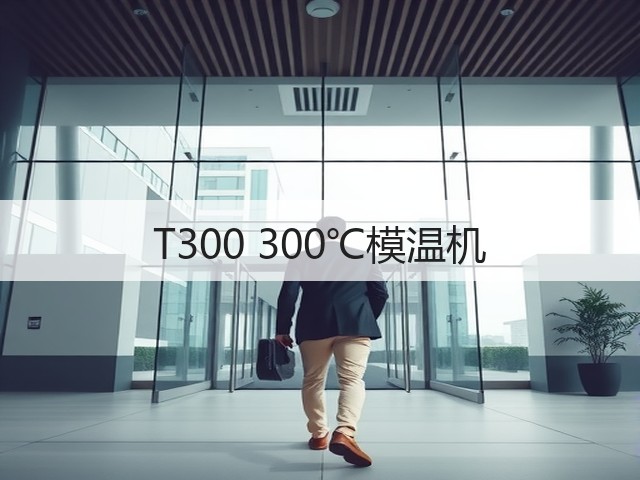 T300 300℃模温机 T300 300℃模温机