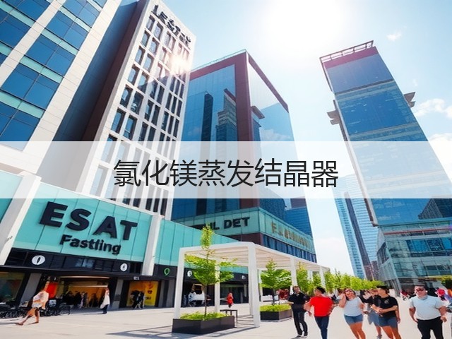氯化镁蒸发结晶器