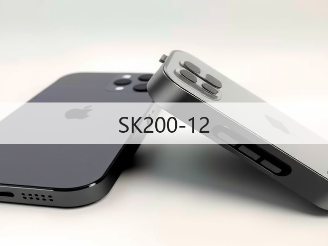 SK200-12 SK200-12