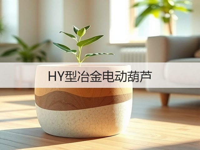 HY型冶金电动葫芦 HY型冶金电动葫芦