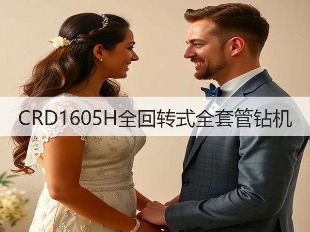 CRD1605H全回转式全套管钻机 CRD1605H全回转式全套管钻机