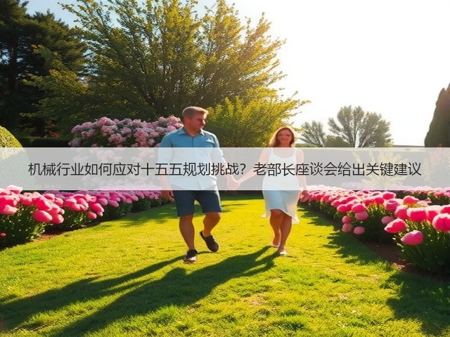 机械行业如何应对十五五规划挑战?老部长座谈会给出关键建议 机械行业如何应对十五五规划挑战?老部长座谈会给出关键建议