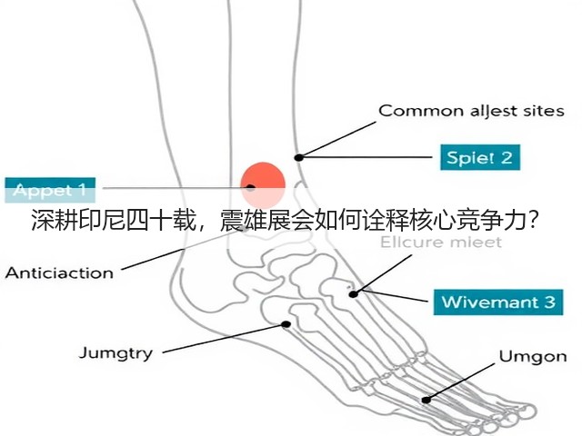 深耕印尼四十载,震雄展会如何诠释核心竞争力? 深耕印尼四十载,震雄展会如何诠释核心竞争力?