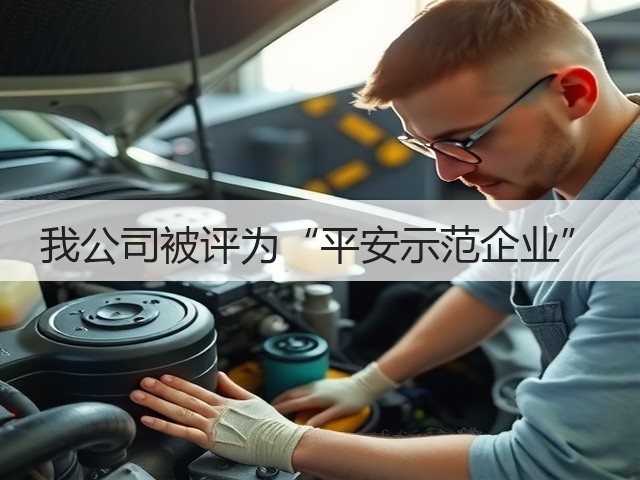 我公司被评为“平安示范企业” 我公司被评为“平安示范企业”