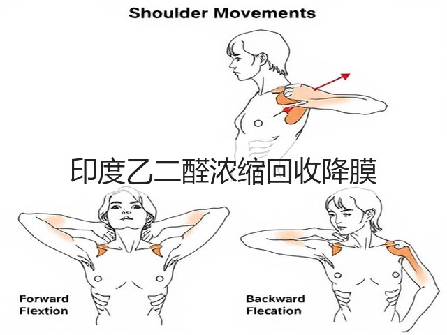 印度乙二醛浓缩回收降膜