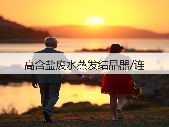 高含盐废水蒸发结晶器/连 高含盐废水蒸发结晶器/连